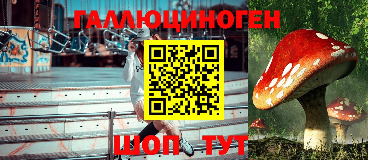 Великий Новгород  Псилоцибиновые грибы Cubensis  Вход с VPN  Псилоцибиновые грибы ЛСД 